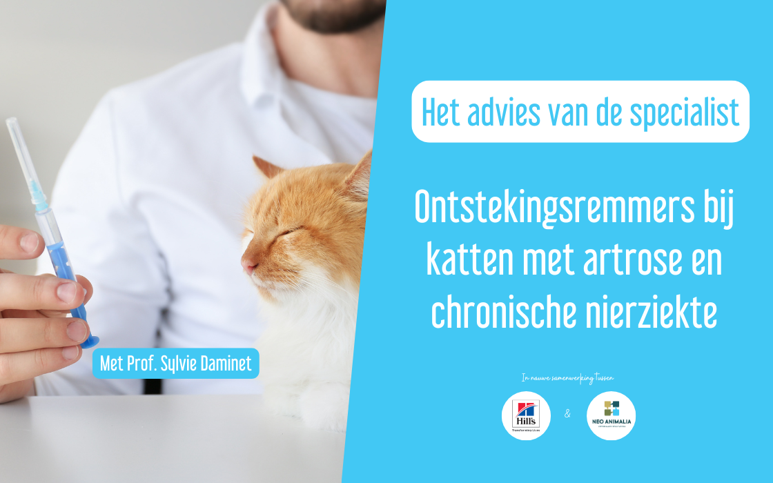 Osteoartrose en ontstekingsremmers bij chronische nierziekte