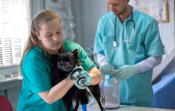 Prise en charge des facteurs humains pour une anesth&eacute;sie plus s&ucirc;re et de qualit&eacute; - &Eacute;dition 1