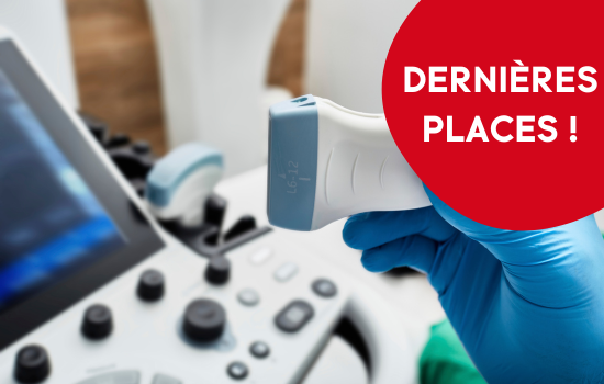 Introduction &agrave; l'&eacute;chographie abdominale des carnivores domestiques - &eacute;dition 13