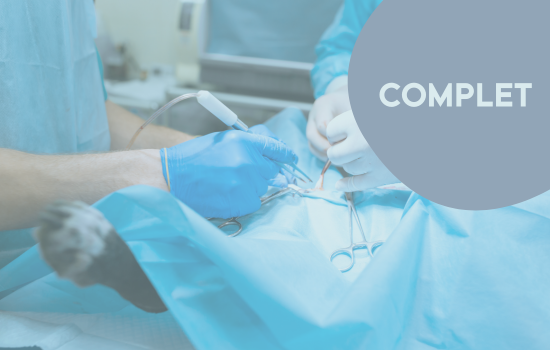 Parcours didactique en chirurgie des carnivores - édition 2